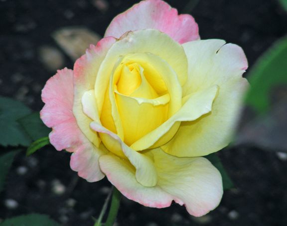 Summer Fashion photo sf2013_06210005_zps33301ab6.jpg